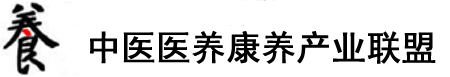 女人日B黄色视频